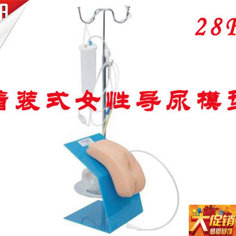 着装式女性导尿模型女性导尿术练习模N型导尿操作实习模型