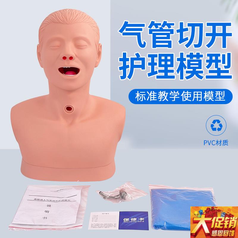 高级成人气管切开护理模型 教学模型H 气管模型人体护理HH70