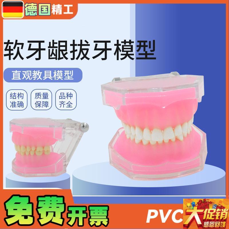 德国软牙龈拔牙模型 牙科牙齿拔A牙模型 全口可拆卸牙模型 软牙龈