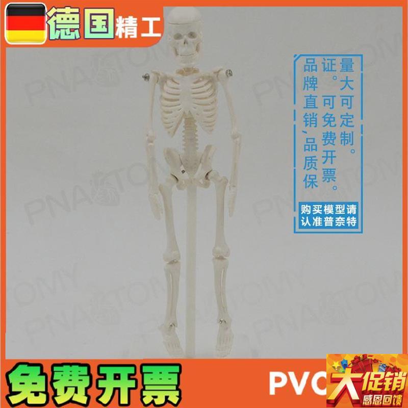 22cm小型白色全身人体t骨骼模型骷髅骨架玩具万圣节可拆卸启蒙美