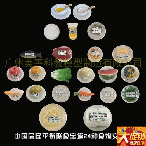 新版中国居民膳食宝m塔食品营养食物交换份模型 正常人群饮食指导