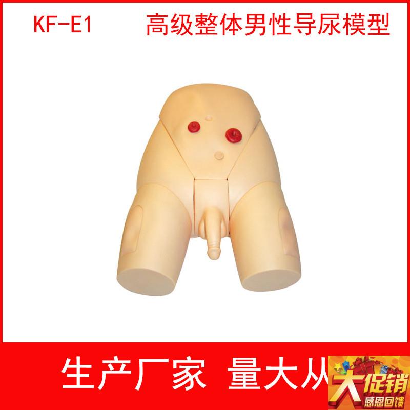 高级整体男女导尿模具,高级整体男性导尿M模型 女性导尿训练模型