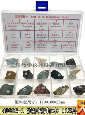 15种变质岩标本 m三大类岩石 物质成分迁移重结晶 地理地质学教具