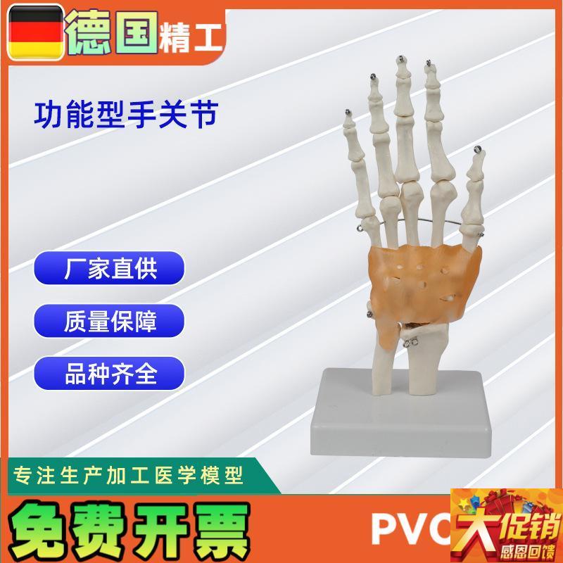 功能型手b关节模型 人体骨头模型教学模型