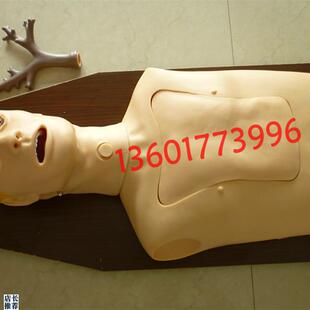 支气管内窥镜检查训练模型内B窥镜练习模型支气管检查模型人