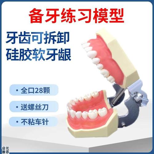 齿科口腔牙科模具医生练习考试树脂缝可拆卸离体标准.假备牙模型