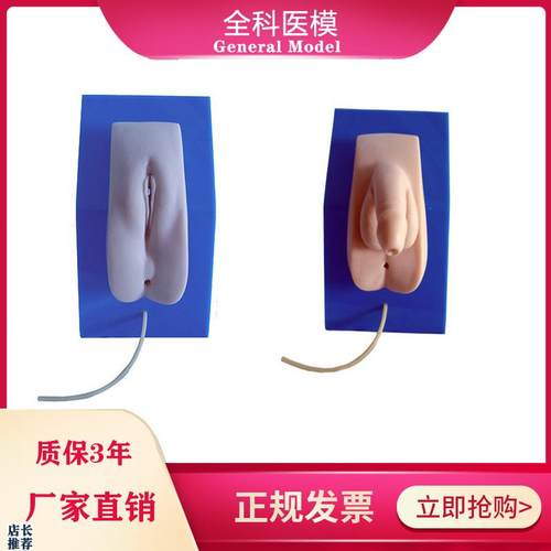着装式男女性导k尿模型男女内外生殖器导尿医学教学训练模具