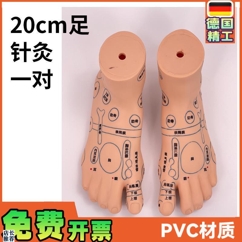 超清晰19CMh足部反射区模型人体穴位教学脚模针灸推拿按摩穴位