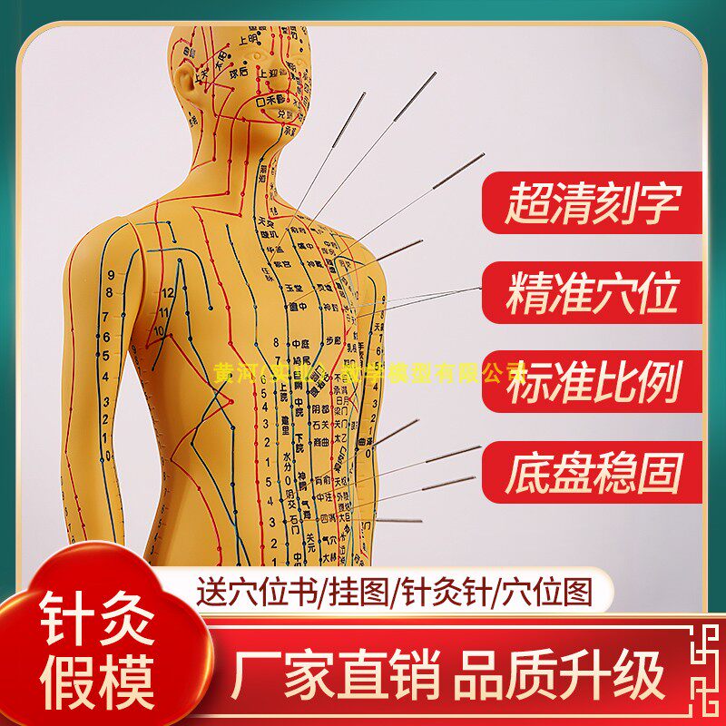 针灸穴位人体模型全身家用中医十二E经络图小皮人硅胶扎针练习铜
