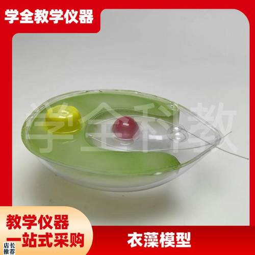 衣藻模型单e细胞绿色植物生物课教学仪器初高中实验室装备仿真透