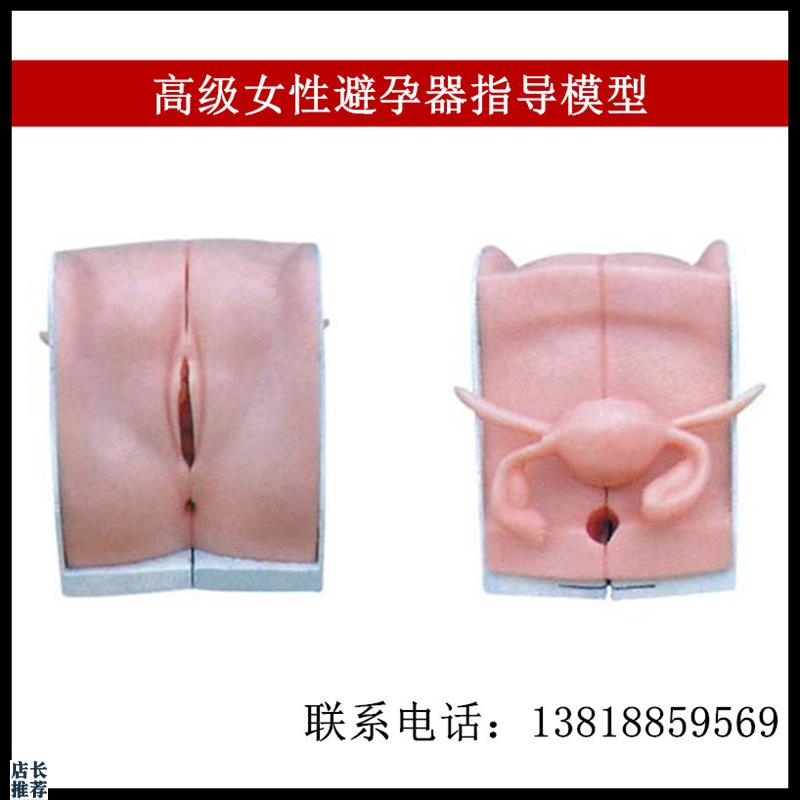 直销女性避孕器指导练习模型妇科训练用医学计划生U育实习检查模