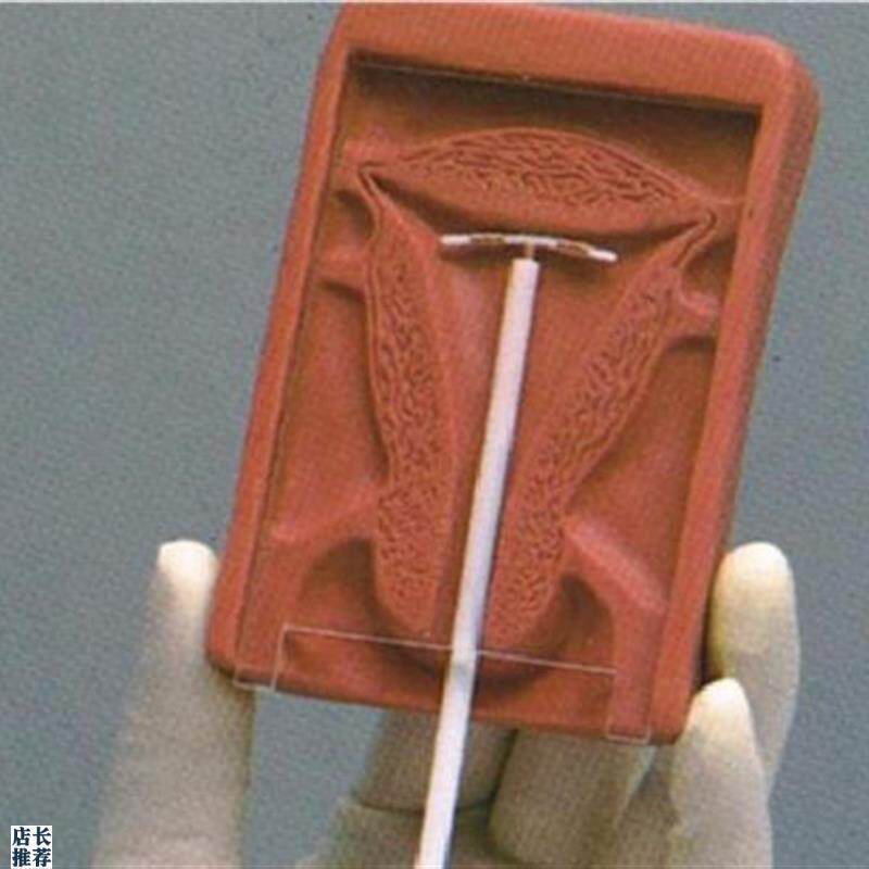 妇科计生避孕模型o高级宫内避孕器训练模型医学院练习模型