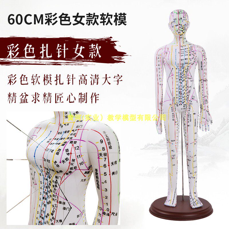 超清中医b针灸穴位人体模型十二经络图铜人体穴位模型人全身小皮