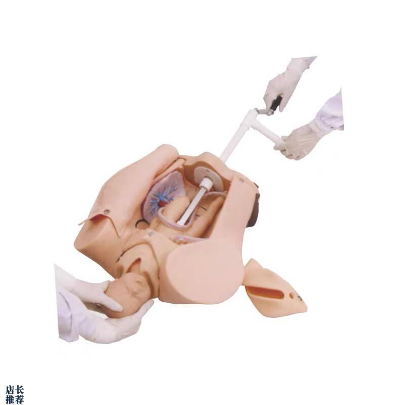 上海医模YMk/F53高级手摇分娩机制示教模型