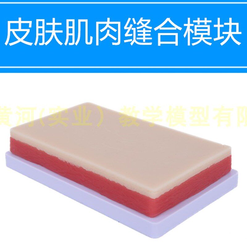 针灸手法训练皮肤模块 皮肤缝合练习模型 缝合Q模型 切开缝合模块