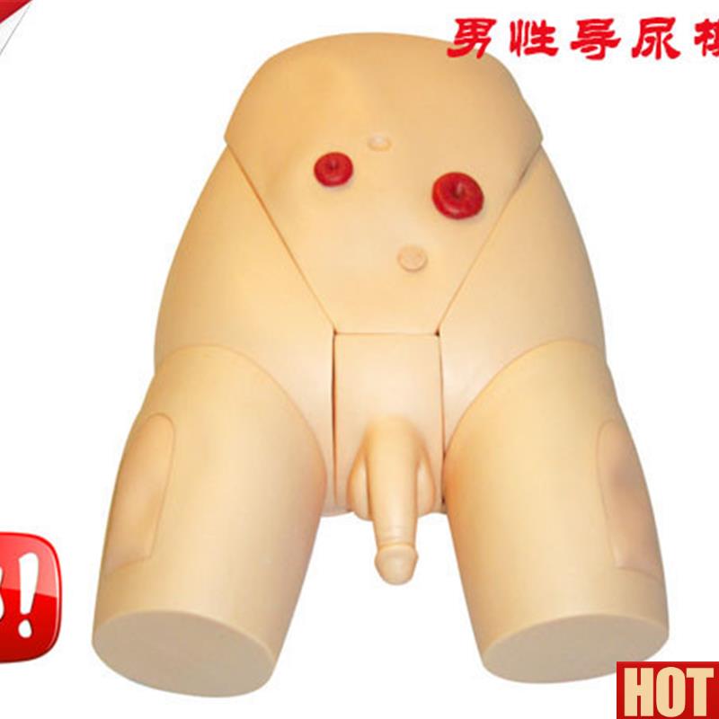 性整体导尿模型 男性导A尿教学模型 导尿插管护理模型