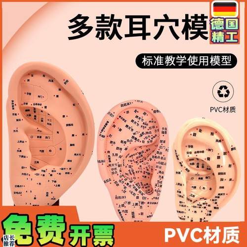 超清晰经络通人体针灸穴位模型针灸F耳针穴模型耳模16cm耳朵