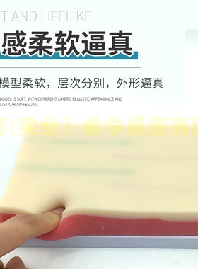 人体仿真皮肤 注射 多功能肌肉注射练H习模块  皮肤缝合训练模型