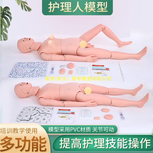 多功能护理训练医学用人体模型z模特复苏操作教学模拟橡皮假人男