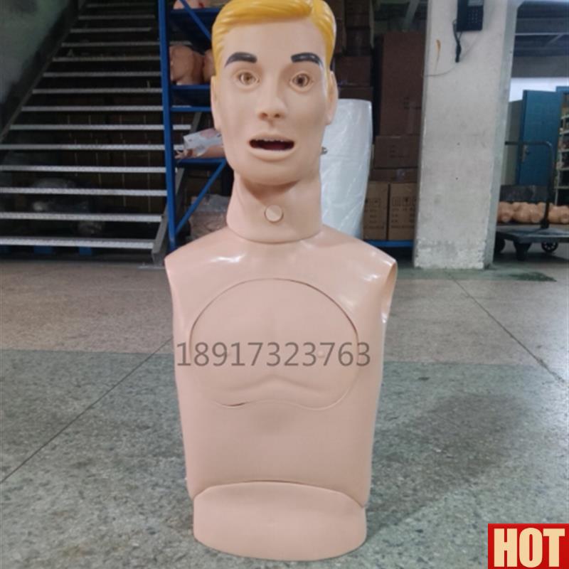 胃管与气管R护理模型 成人上半身鼻饲洗胃吸痰插管训练模型