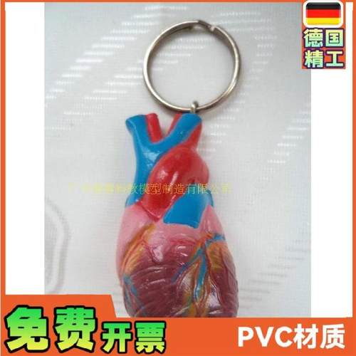 心脏钥匙扣仿真心脏小型人体心脏钥I匙扣模型人体内脏钥匙扣