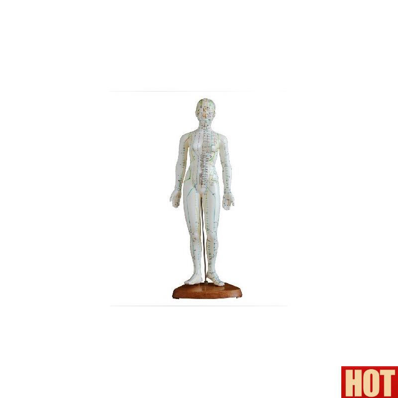 体针灸模型48CM 人体全身穴位模型 医G学教学培训专用 女性