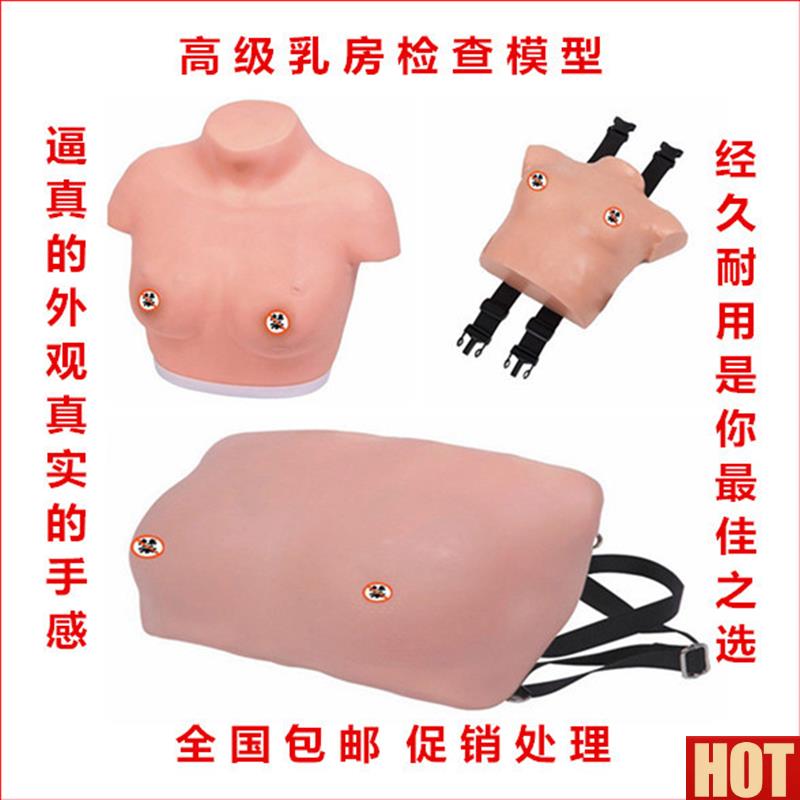 家直销 高级着装式乳房自检模型 N妇科模型 胸部检查训练模具