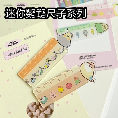 ins风高颜值鹦鹉尺子套装学习