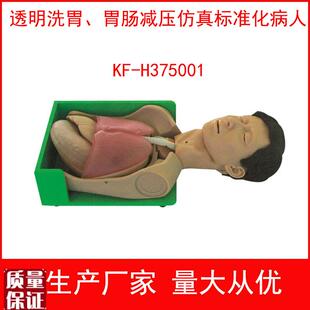 透明洗胃胃肠减压仿真标v准化病人透明洗胃模型护理技能训
