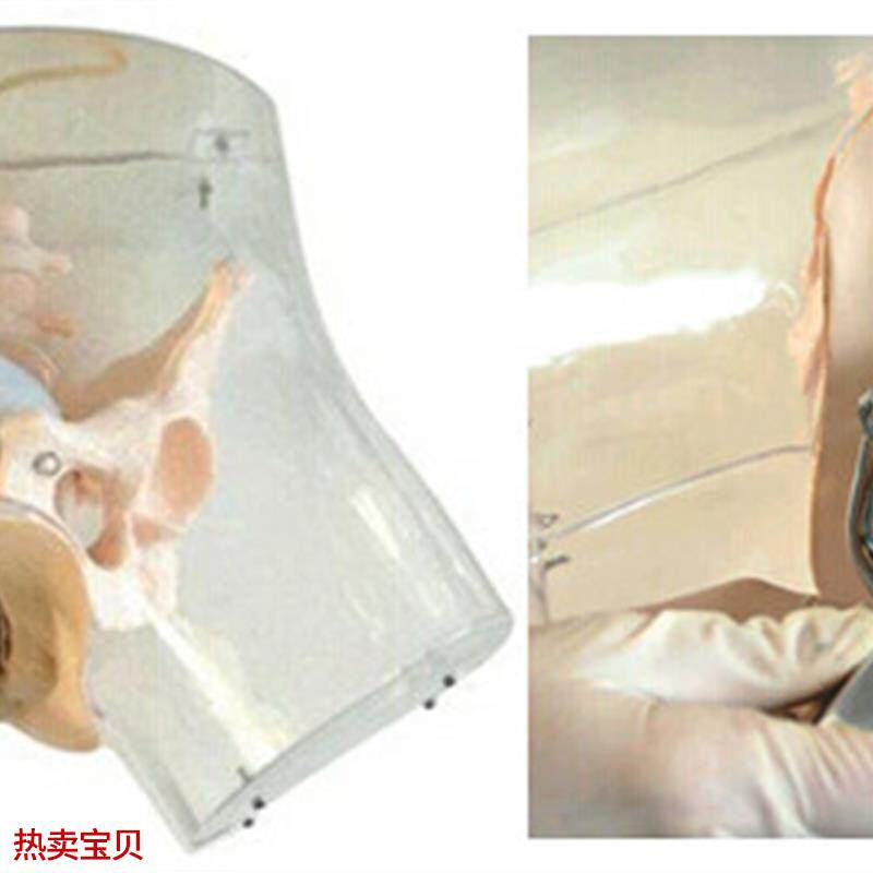 高级透明刮宫模型透明刮宫教E学模型女性计划生育模型