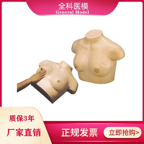 乳腺视诊与触诊模型乳房检查临床教学女性催乳训.练诊断模型