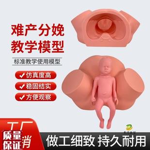 高级难产示教训练模型分娩示教A模型妇产科难产助产分娩教学模