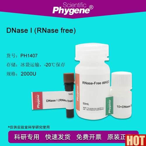 氧核糖核酸酶I DNase I-RNase free 2000U PH1407 PmHYGENE