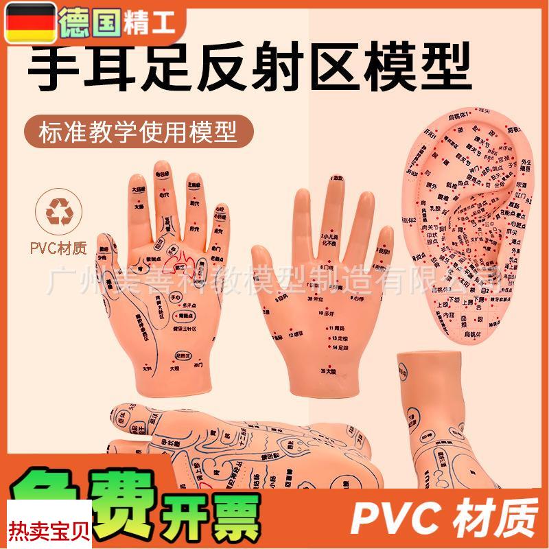 针灸足底脚模反射眼睛图脚穴位模型足部底K耳模耳朵手经络手部推