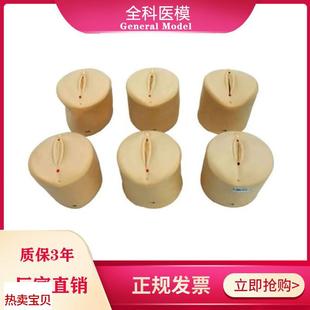 产前宫颈口变化模j型宫颈扩张教具分娩产道医学用妇科教学模型模