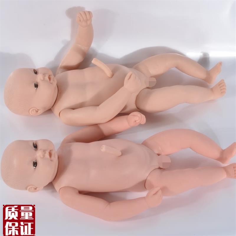 高级出生婴儿g附脐带模型初生儿附脐带模型新生儿附脐带模