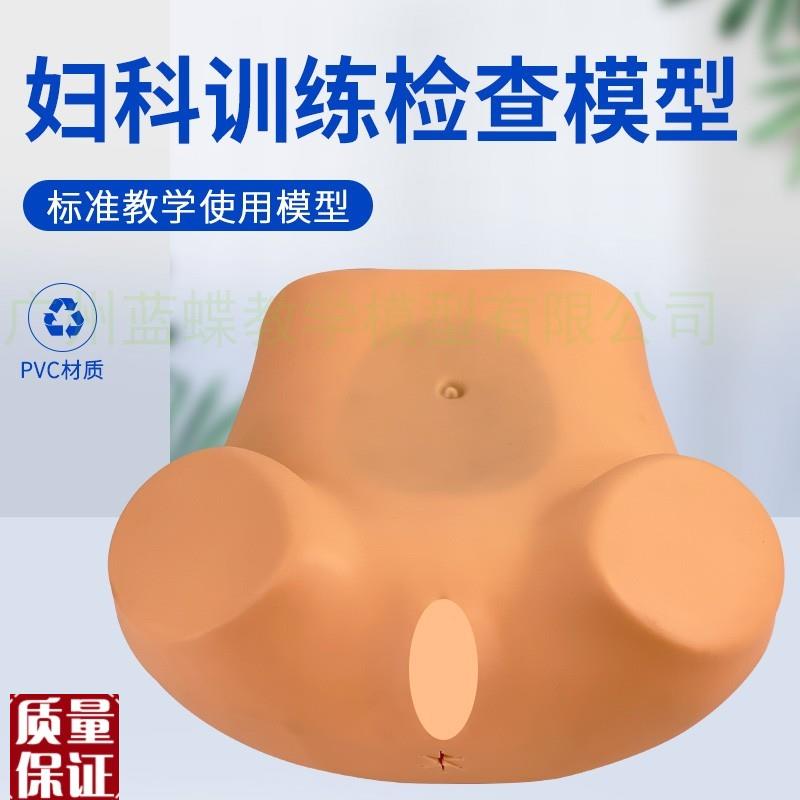 妇科内诊检查模j型高级妇科检查训练模型正常的子宫触诊视