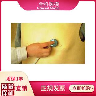 心肺听诊训练模型背心q式临床病理性心音肺音体格检查练习模具假