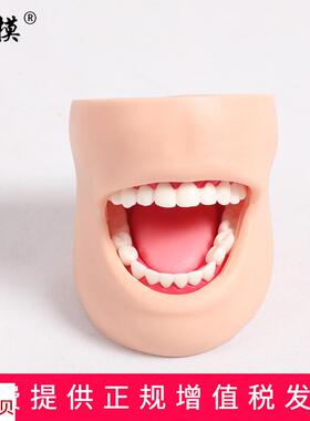 沪模HM/K4牙护理n带脸颊模型正常大小牙护理保健口腔护理清洁牙齿