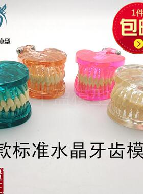 牙科口腔模型新款标准牙齿透明水晶模型全口Q28颗牙齿模型包