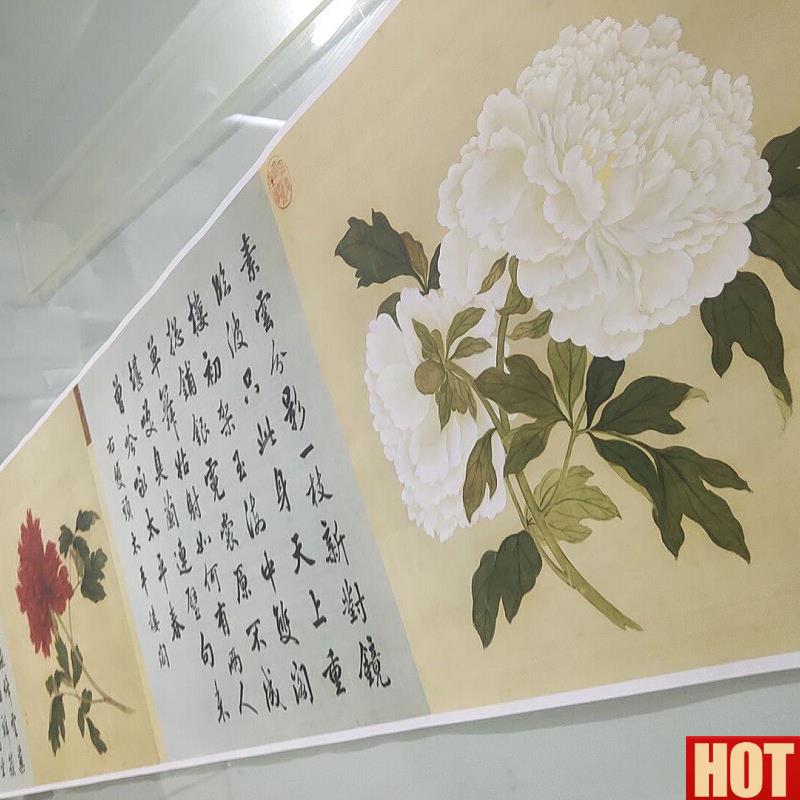 1蒋廷锡百种牡丹谱20幅复古V尺牍书画花鸟写真国画彷古复制品