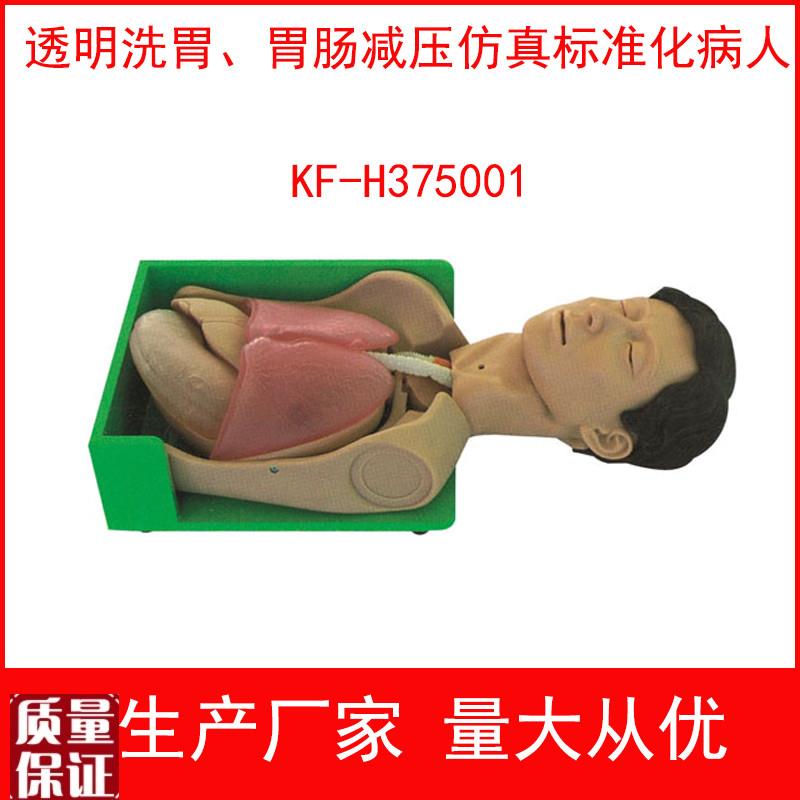 透明洗胃和胃肠减压仿真标v准化病人洗胃法操作模型吸氧法训练模