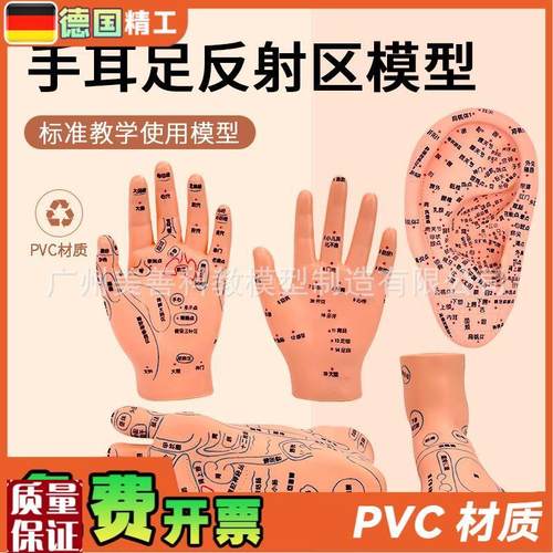 手部穴位针灸模型足底按摩脚部按摩O艾灸穴位足部耳穴模