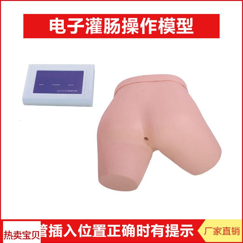 电子灌肠操作模型15A灌肠管插入位置正确时R有提示仿真成人臀部