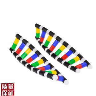 DNA模型脱氧核糖核酸细胞核中学生物课教学器S材医用碱基配对遗