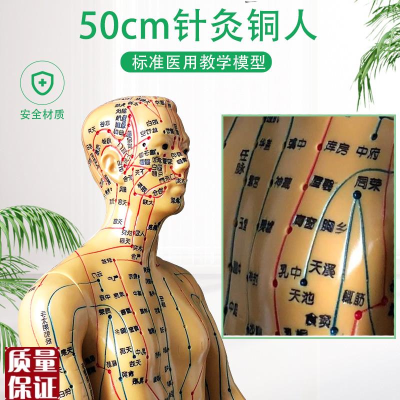 超清针灸穴位人体模型按摩经络通铜G人刻字中医用教学女小人送