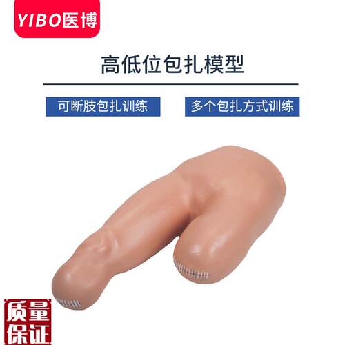 人体断肢包扎处理模型高低位包扎训J练模型医用人体教学模