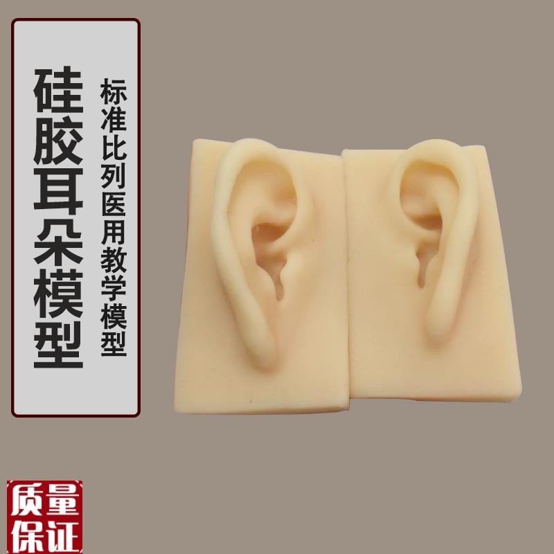 硅胶耳朵模型耳朵模型耳钉展示耳模助V听展示道具包