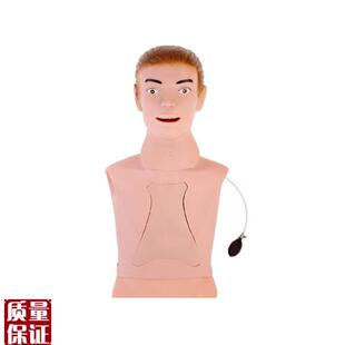 高级鼻胃管与气管护理模型鼻饲管洗胃Z教学训练模