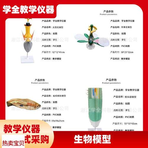 高中生物模型教学演示教具生物动物模型植P物模型生物教学仪器